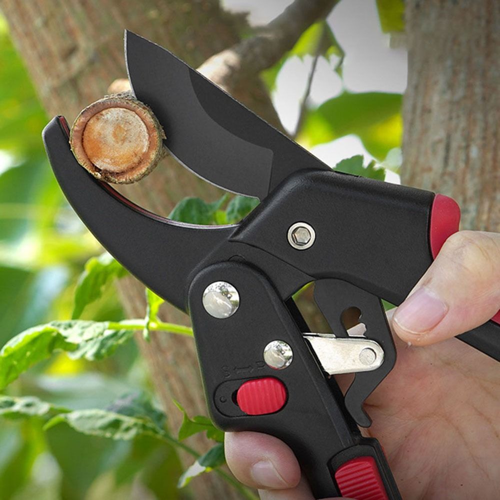 กรรไกรตัดแต่งกิ่งแบบปรับได้ ใช - Gardening Tools Sharp บทวิจารณ์และราคา