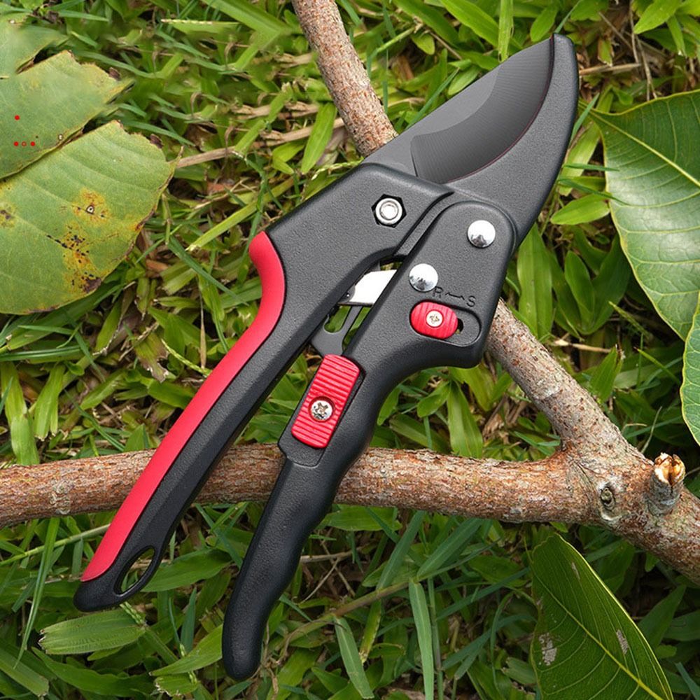 กรรไกรตัดแต่งกิ่งแบบปรับได้ ใช - Gardening Tools Sharp บทวิจารณ์และราคา