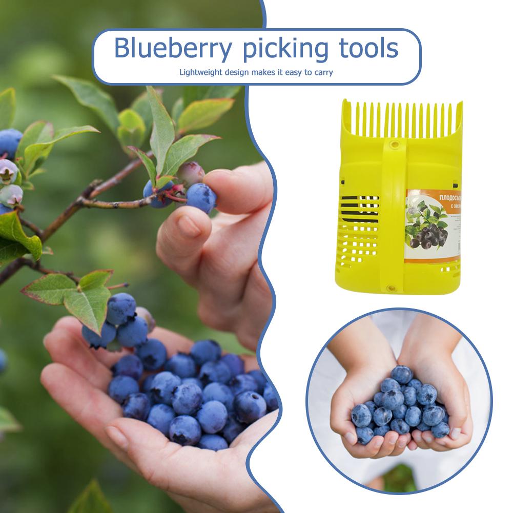 ที่เก็บผลไม้ หวีเก็บผลบลูเบอร์ - Gardening Tools Rake บทวิจารณ์และราคา