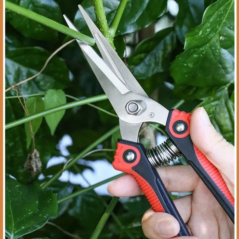 กรรไกรตัดแต่งกิ่งสแตนเลส NEWSH - Gardening Tools Sharp บทวิจารณ์และราคา