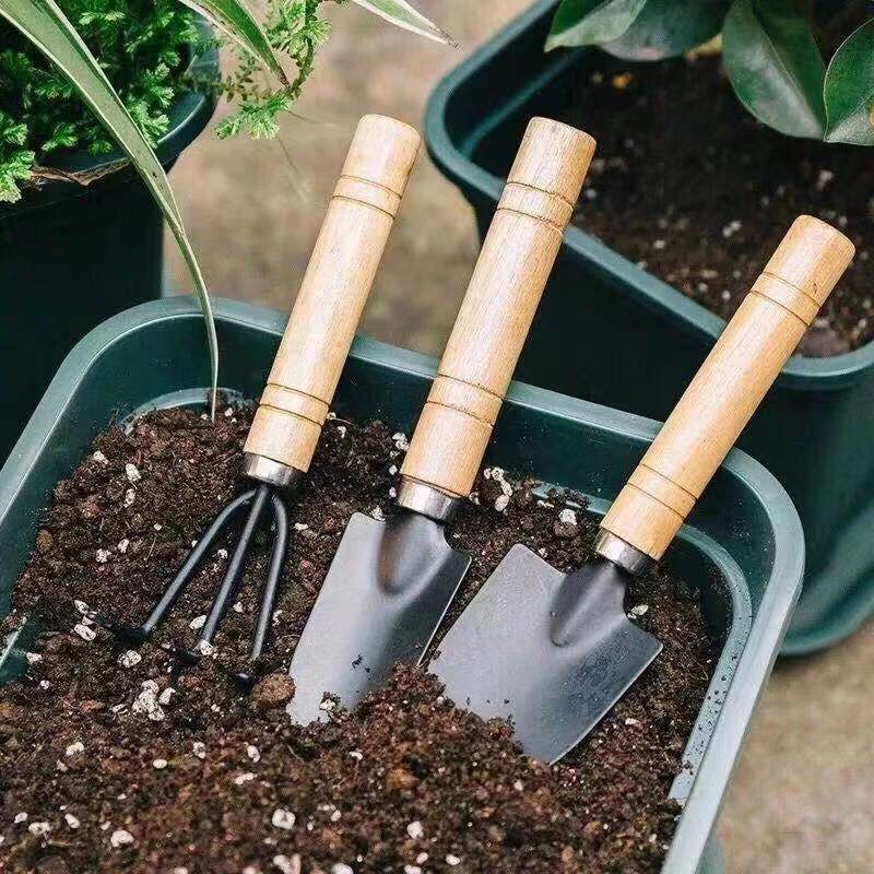 ชุดเครื่องมือทำสวนขนาดเล็ก 3 ช - Gardening Tools Rake บทวิจารณ์และราคา