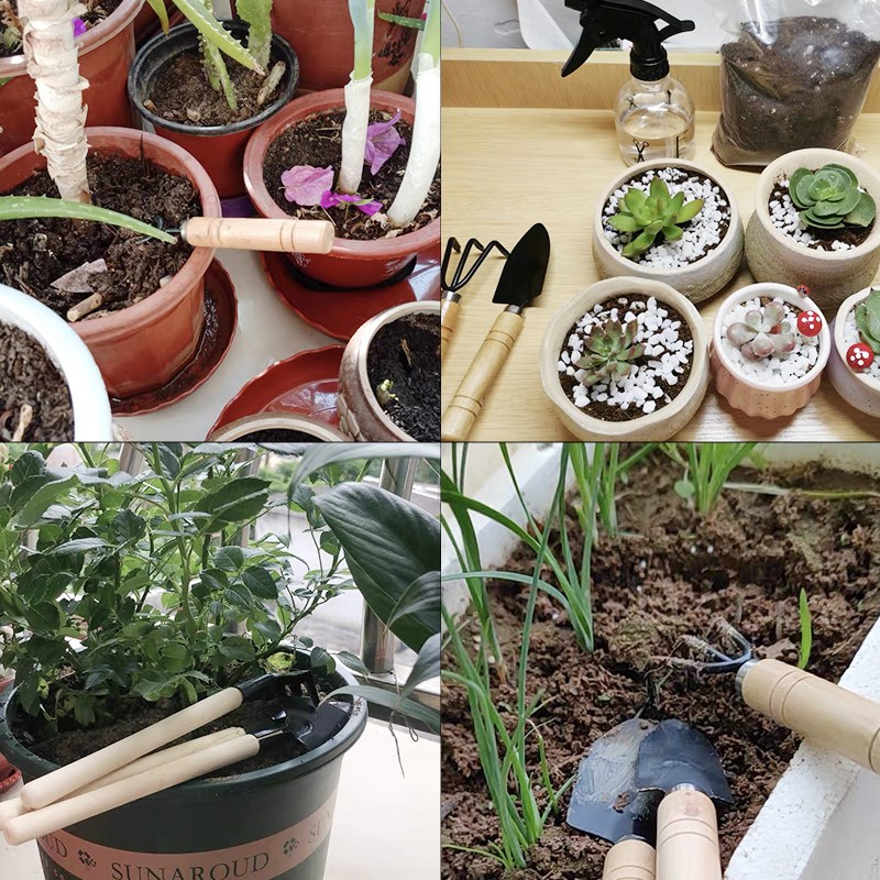 ชุดเครื่องมือทำสวนขนาดเล็ก 3 ช - Gardening Tools Rake บทวิจารณ์และราคา