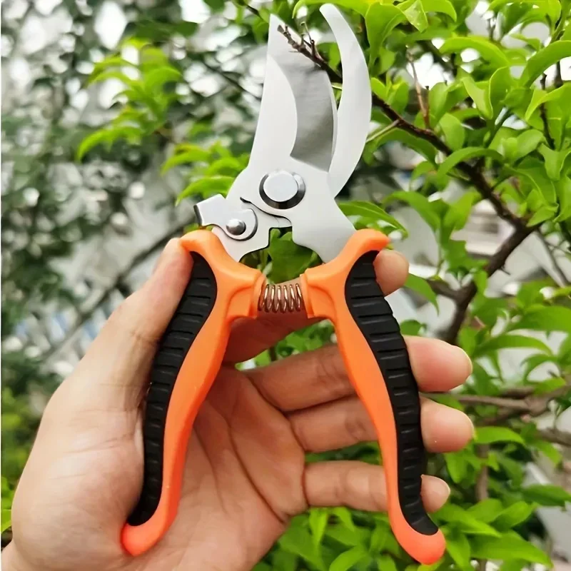 กรรไกรตัดแต่งสวนแบบมืออาชีพ ป้ - Gardening Tools Sharp บทวิจารณ์และราคา