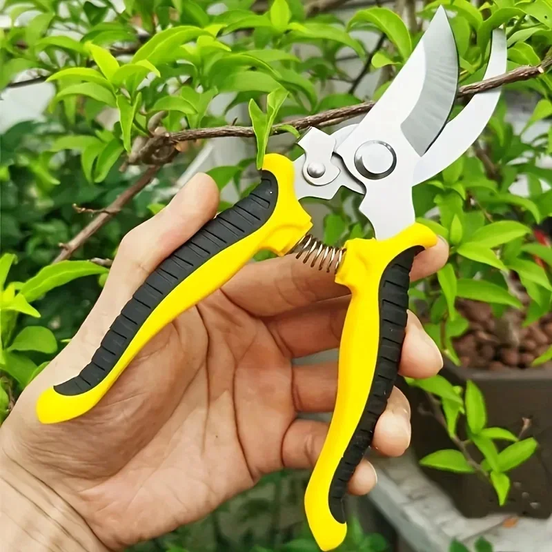 กรรไกรตัดแต่งสวนแบบมืออาชีพ ป้ - Gardening Tools Sharp บทวิจารณ์และราคา