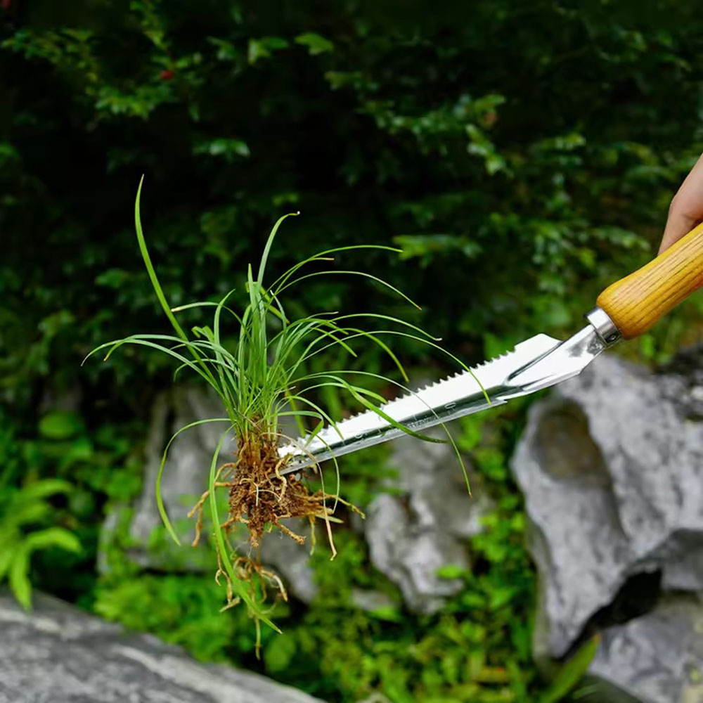 เครื่องมือกำจัดวัชพืชสแตนเลส – - Gardening Tools Sharp บทวิจารณ์และราคา
