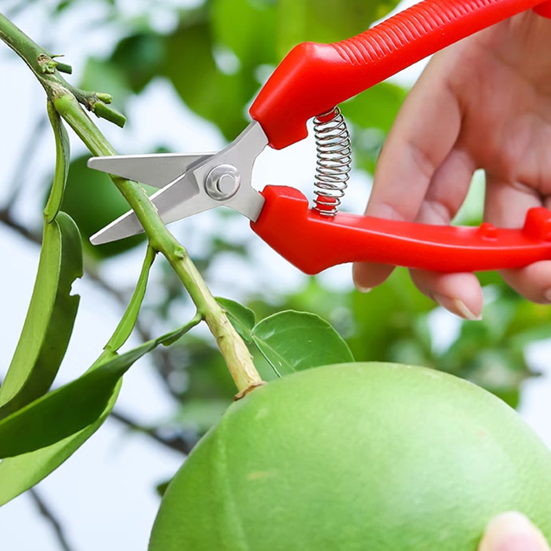 กรรไกรตัดแต่งกิ่งแบบมือเดียว ก - Gardening Tools Sharp บทวิจารณ์และราคา