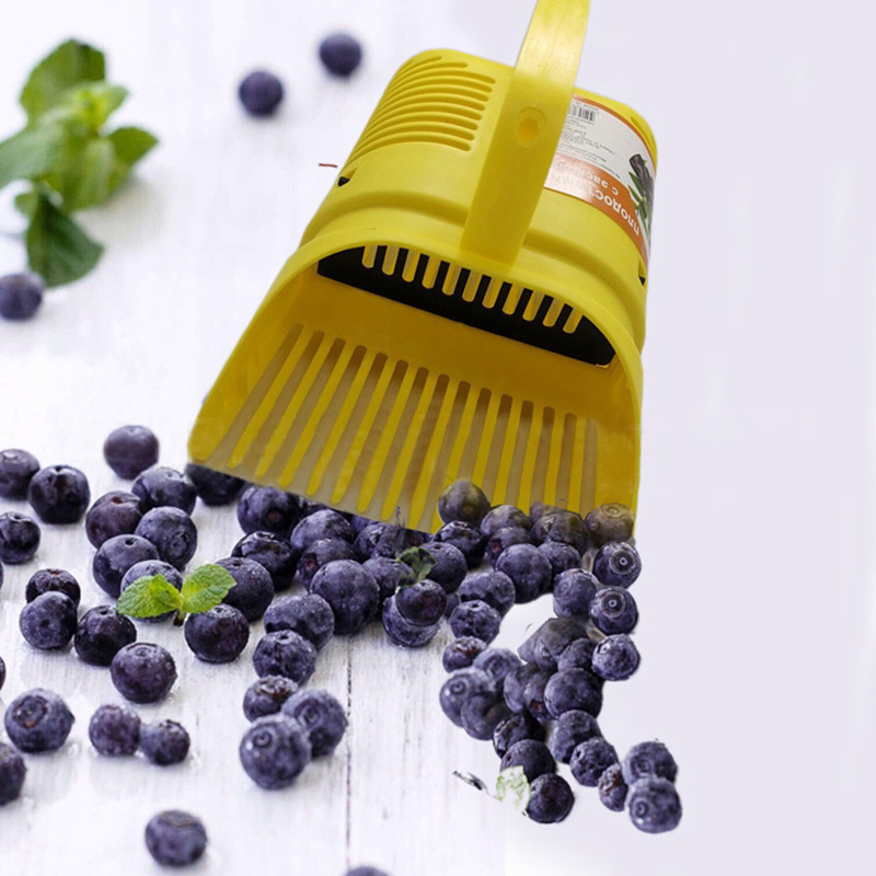 เครื่องมือทำสวนสำหรับเก็บเกี่ย - Gardening Tools Rake บทวิจารณ์และราคา