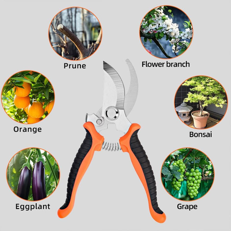 กรรไกรตัดแต่งสวน ด้ามจับตามหลั - Gardening Tools Sharp บทวิจารณ์และราคา