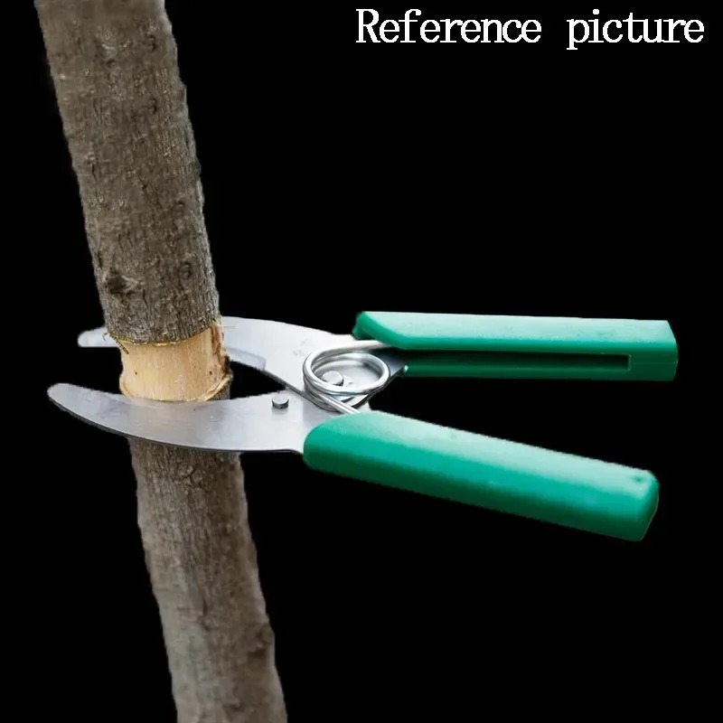 มีดตัดเปลือกไม้คมกริบ สำหรับตั - Gardening Tools Sharp บทวิจารณ์และราคา
