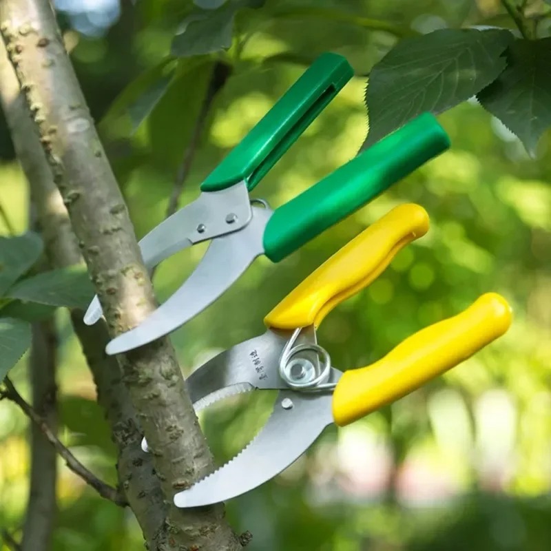 มีดตัดเปลือกไม้คมกริบ สำหรับตั - Gardening Tools Sharp บทวิจารณ์และราคา