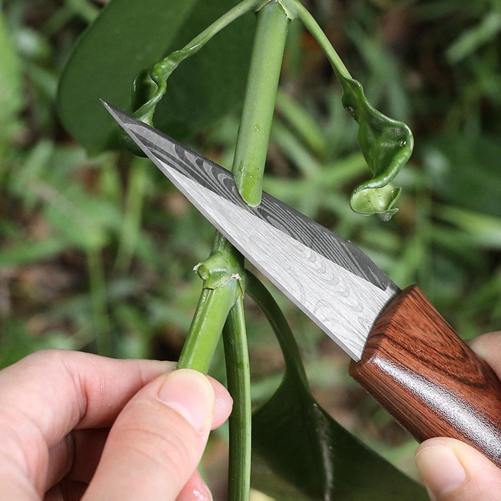 มีดปลูกต้นไม้คมกริบ ด้ามไม้ พร - Gardening Tools Sharp บทวิจารณ์และราคา